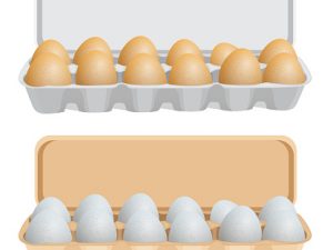 Eggs