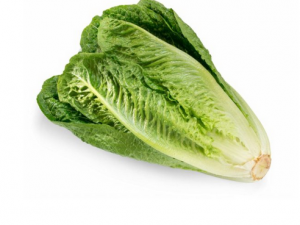 Lettuce