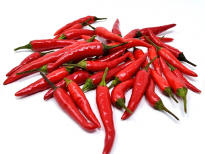 Red chili pepper
