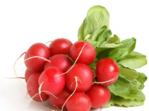 Radish red