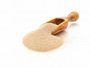 Dried yeast