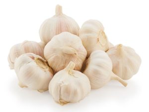Garlic
