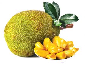 Jackfruit
