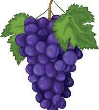 Grapes blue