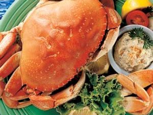 Whole cooked dungeness crab